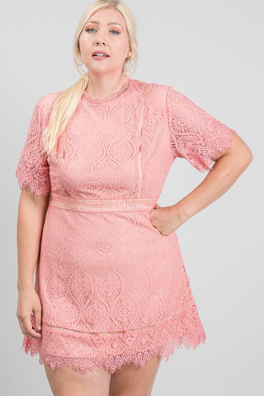 Lace Overlay Dress