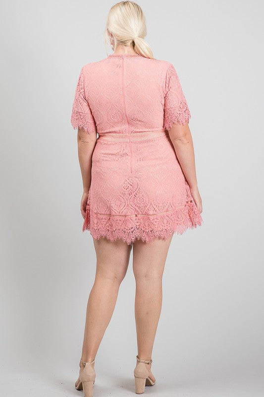 Lace Overlay Dress