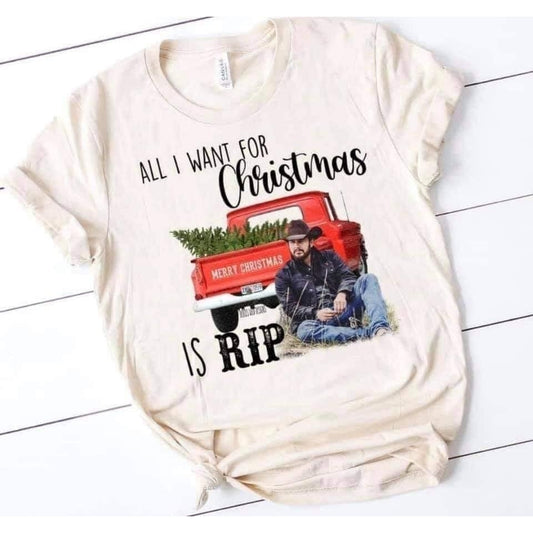 All I Want For Christmas is Rip Graphic Tee